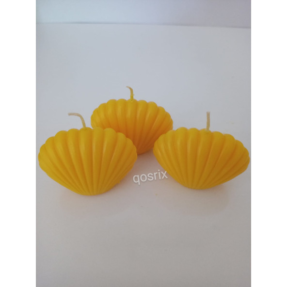 qosrix 3'lü Sarı Mini İstiridye Deniz Kabuğu 1. Kalite Doğal Kokulu Mum Dekoratif
