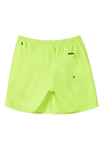 Quiksilver Everyday 15 Erkek Volley Neon Yeşil Şort - 6