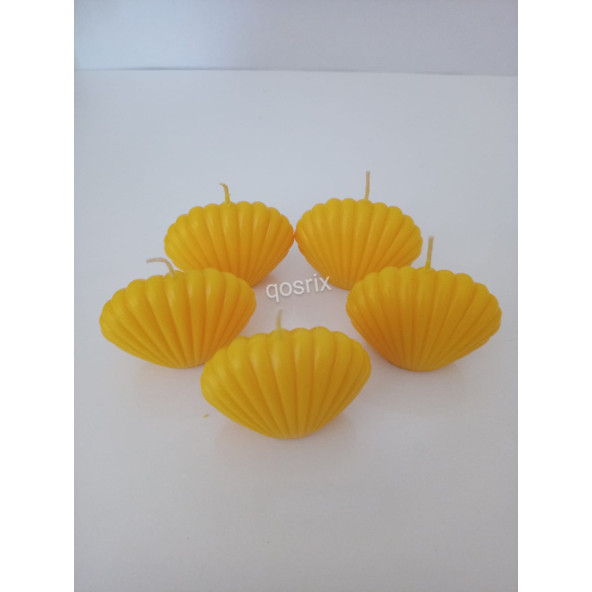 qosrix 5'li Sarı Mini İstiridye Deniz Kabuğu 1. Kalite Doğal Kokulu Mum Dekoratif - 2