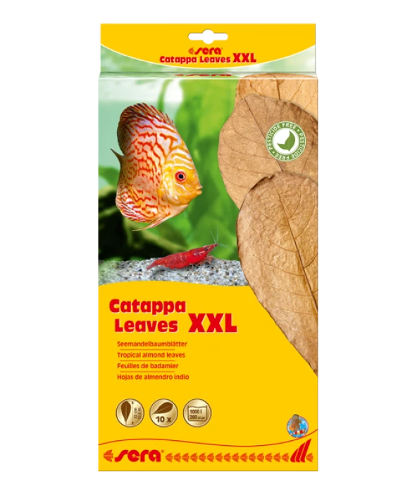 Sera Catappa Yaprağı XXL 32 cm (10 Adet)