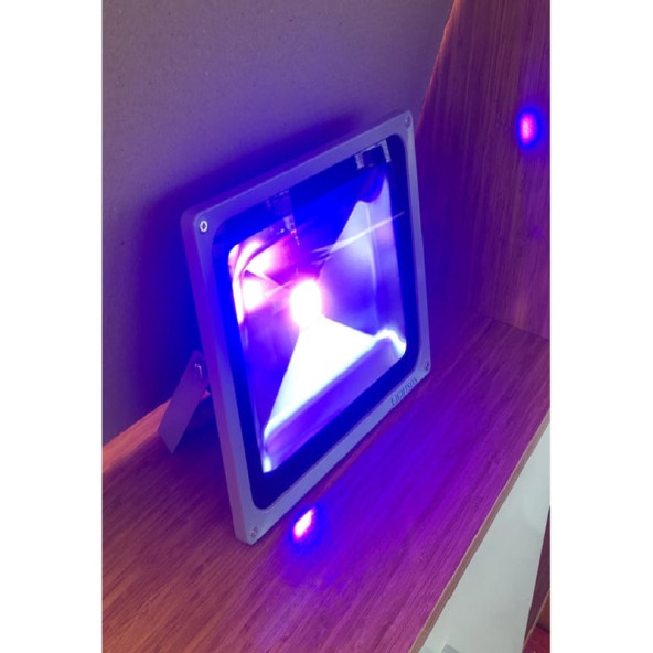LİGHTSON  60 WATT  MAVİ IŞIK PROJEKTÖR - 2
