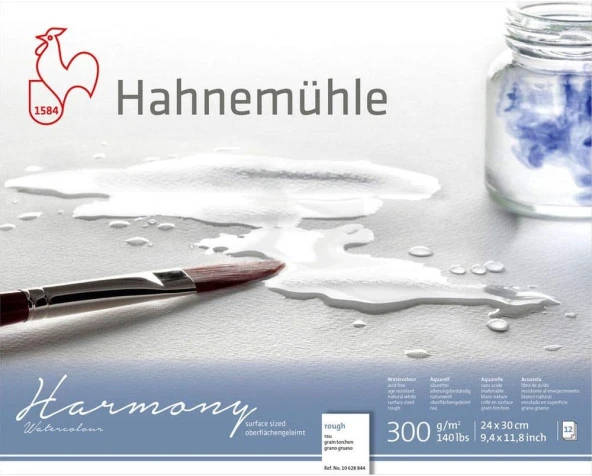 10 628 844 Hahnemühle Harmony Rough 24x30