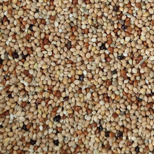 Karışık Muhabbet Kuş Yemi 1 Kg - 2