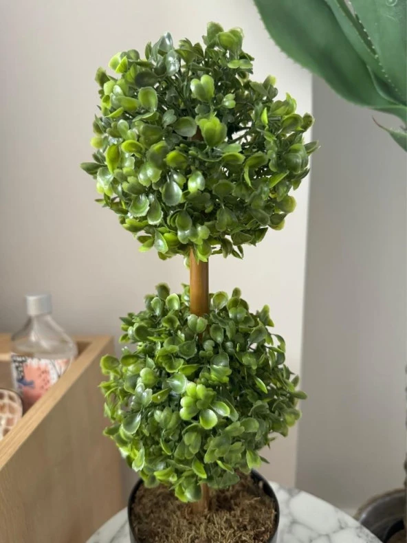 Nettenevime Yapay Ağaç Şimşir Top 2 Toplu 12x40cm Siyah Saksıda - Resim 6