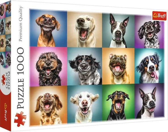 1000 FUNNY DOG PORTRAITS