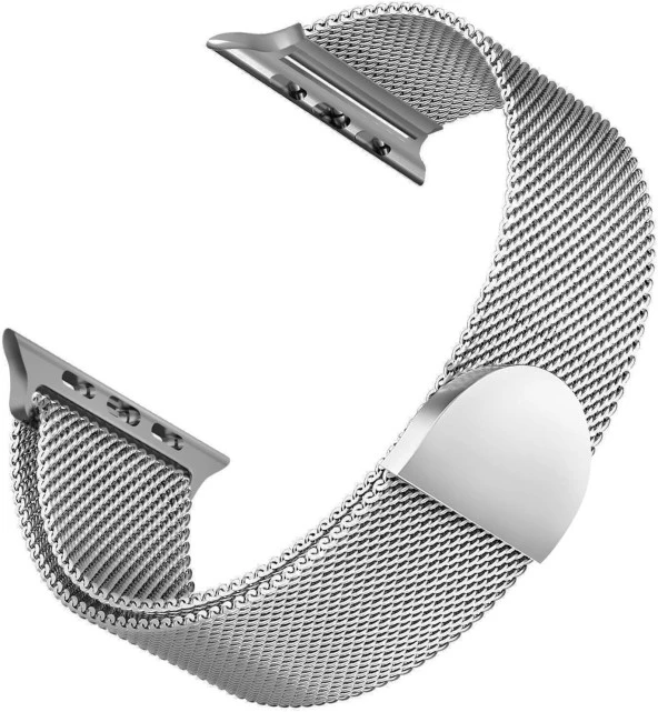 Apple Watch SE 40mm için Kordon Luxe Metal Twist Gümüş [Watch SE 40mm ile Uyumlu Kordon - Gümüş]