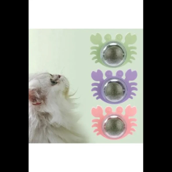 Yengeç Kedi Otu Oyun Topu - 2