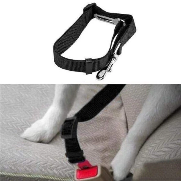 Köpek Tasma Araba Emniyet Kemeri - 2