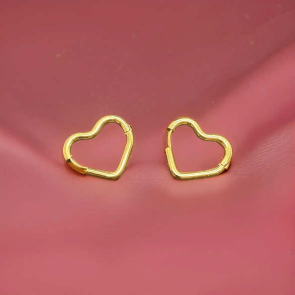 Zarif Kalp Sembolü: Gold Renk 316L Antialerjik Çelik Kadın Küpe ürün görseli 1