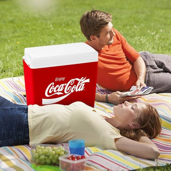 Coca-Cola CCMP24 24 Litre Buzluk - 5