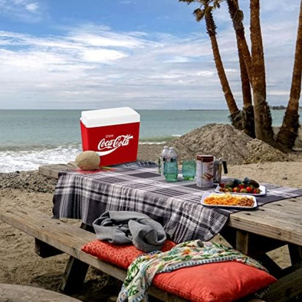 Coca-Cola CCMP24 24 Litre Buzluk - 6