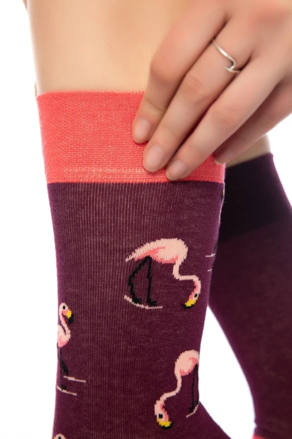 Unisex Bordo Flamingo Renkli Çorap - 3