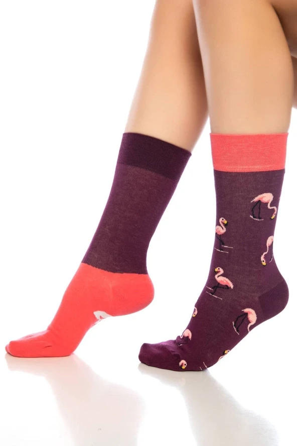 Unisex Bordo Flamingo Renkli Çorap - 6