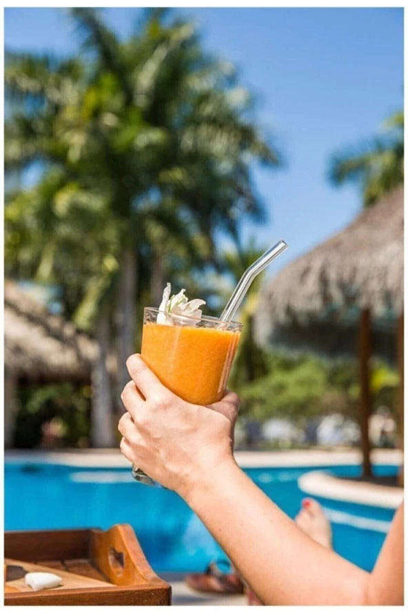 Ikili Cam Pipet + Temizlik Fırçası - 3