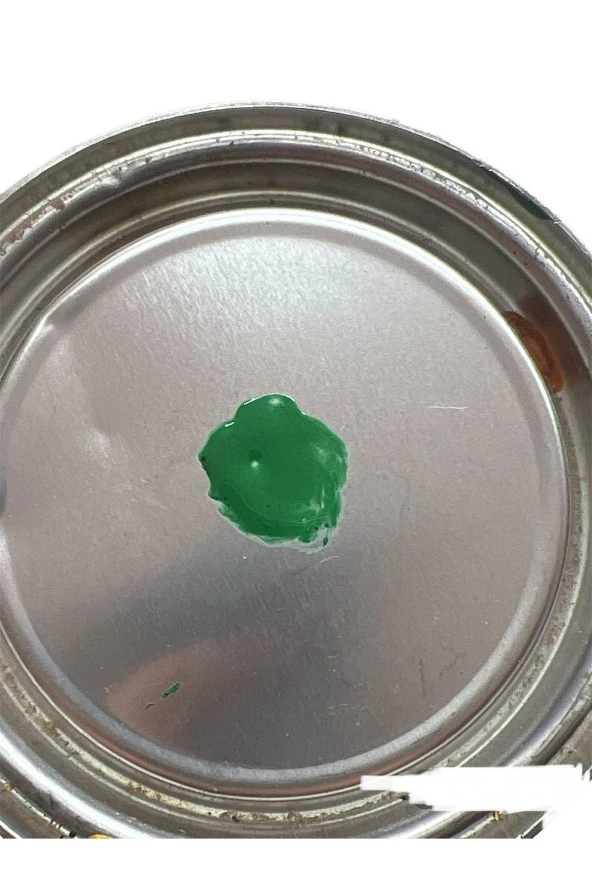 Çimen Yeşili Sentetik Boyalar 1kg - 2