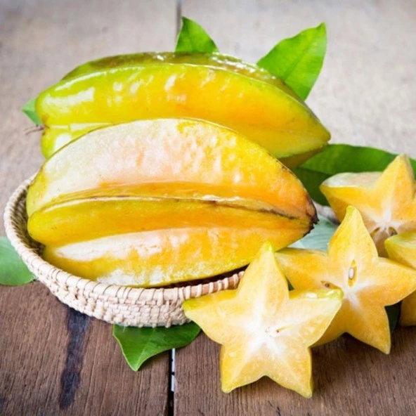 20 Lt Saksıda Meyve Verir Durumda Carambola (Yıldız Meyvesi) Fidanı