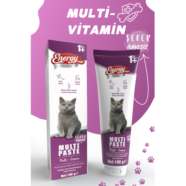 Energy Multi Paste 100gr Multivitamin Malt (Bağışıklık Sistemi Destekleyici Tüy Yumağı Önleyici)