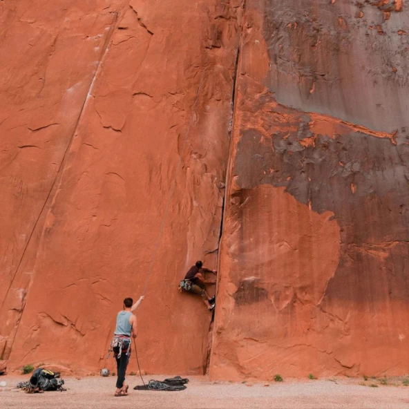 Badger Ayak Kremi 21gr - Resim 6