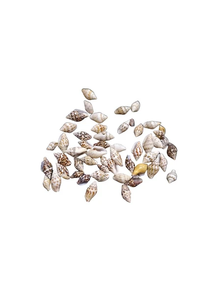 Deniz Kabuğu Küçük 25 gr