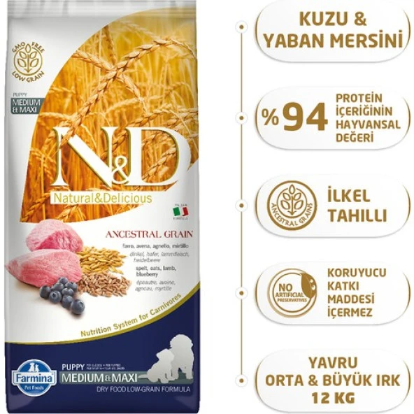 N&D Düşük Tahıllı Kuzu Etli Ve Yaban Mersinli Orta Irk Yavru Köpek Maması 12 Kg