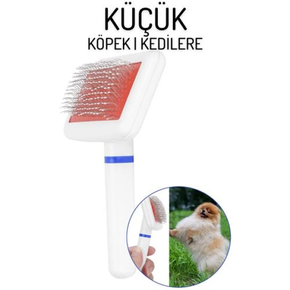 TransForMacion Küçük Köpek Kedi Tarağı Monteiro Design 718664