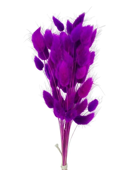 Nettenevime Kuru Çiçek Doğal LİLA Pamuk Otu 10gram 1. Kalite Şoklanmış Bozulmaz - 3