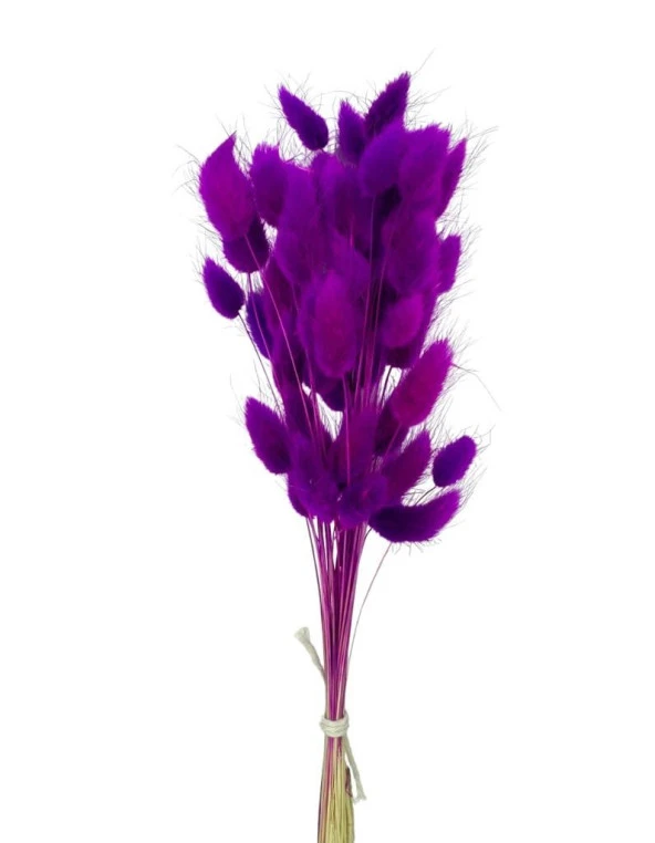 Nettenevime Kuru Çiçek Doğal LİLA Pamuk Otu 10gram 1. Kalite Şoklanmış Bozulmaz - 2