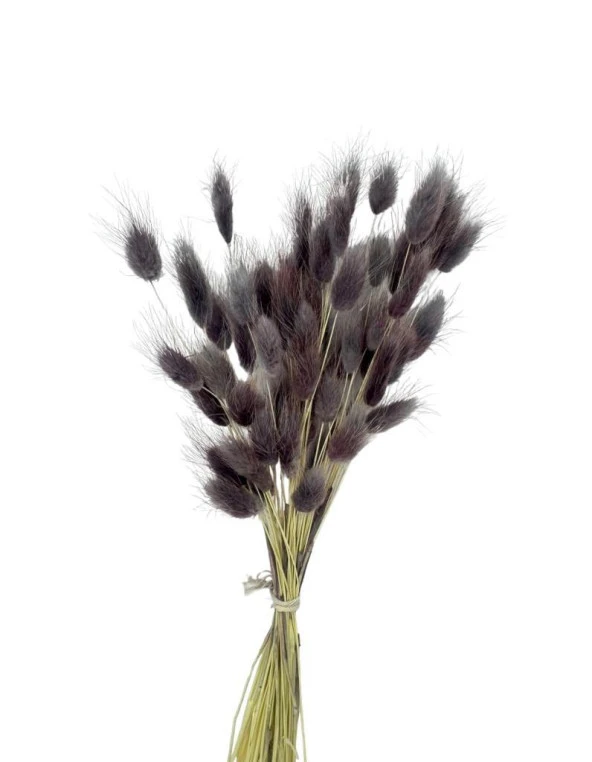 Nettenevime Kuru Çiçek Doğal GRİ LİLA Pamuk Otu 10gram 1. Kalite Şoklanmış Bozulmaz - 3