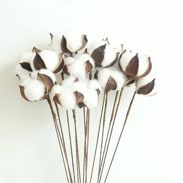 Nettenevime Doğal Pamuk Dalı Dekratif Kuru Çiçek  Yapay Çiçek 1 ADET Pamuk Topu - Resim 4