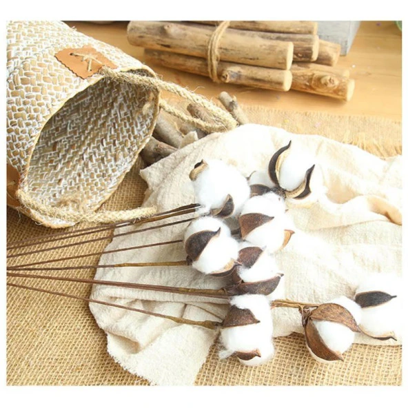 Nettenevime Doğal Pamuk Dalı Dekratif Kuru Çiçek  Yapay Çiçek 1 ADET Pamuk Topu - Resim 8