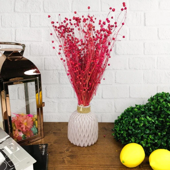 Nettenevime Kuru Çiçek Doğal Fuşya Luna 25gram Otu 1. Kalite Şoklanmış Bozulmaz - Resim 2