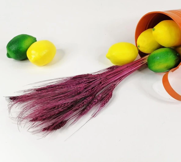 Nettenevime Kuru Çiçek Doğal Bordo Başak 35gram 1. Kalite Şoklanmış Bozulmaz - Resim 2