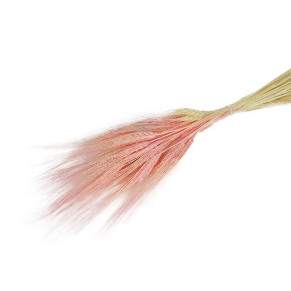 Nettenevime Kuru Çiçek Doğal Pembe Başak 35gram 1. Kalite Şoklanmış Bozulmaz