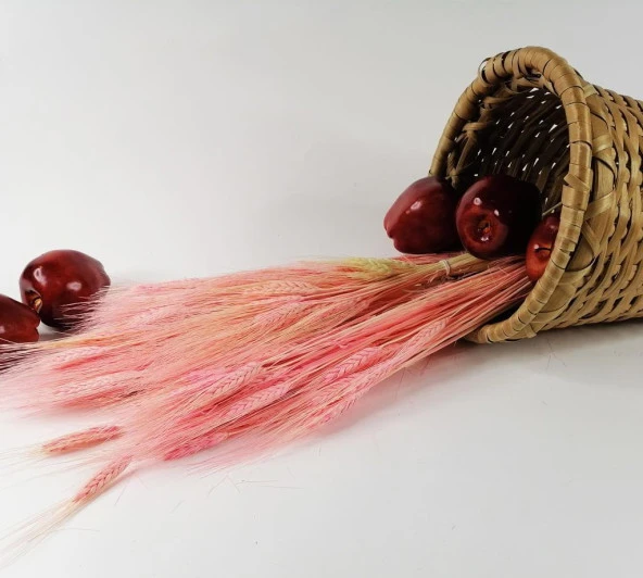 Nettenevime Kuru Çiçek Doğal Pembe Başak 35gram 1. Kalite Şoklanmış Bozulmaz - 2