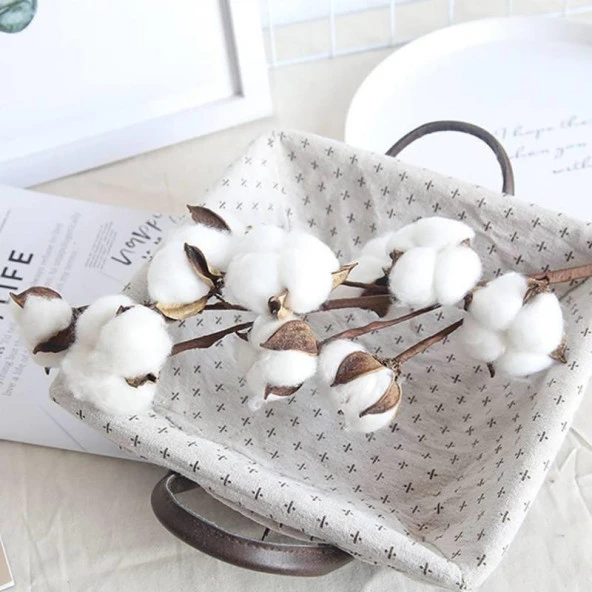 Nettenevime Doğal Pamuk Çiçeği 5Adet 5 li Kuru Çiçek 56cm Yapay Çiçek - 3