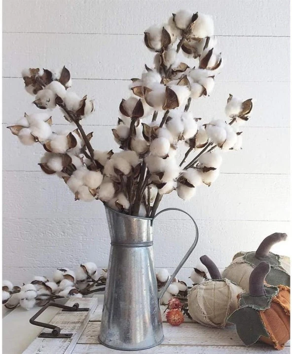 Nettenevime Doğal Pamuk Çiçeği 5Adet 5 li Kuru Çiçek 56cm Yapay Çiçek - 7