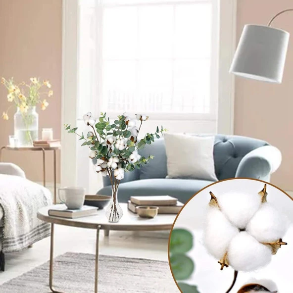 Nettenevime 4 Lü Set Okaliptuslu Doğal Pamuk Çiçeği Dalı 5li Kuru Çiçek Yapay Çiçek - 8