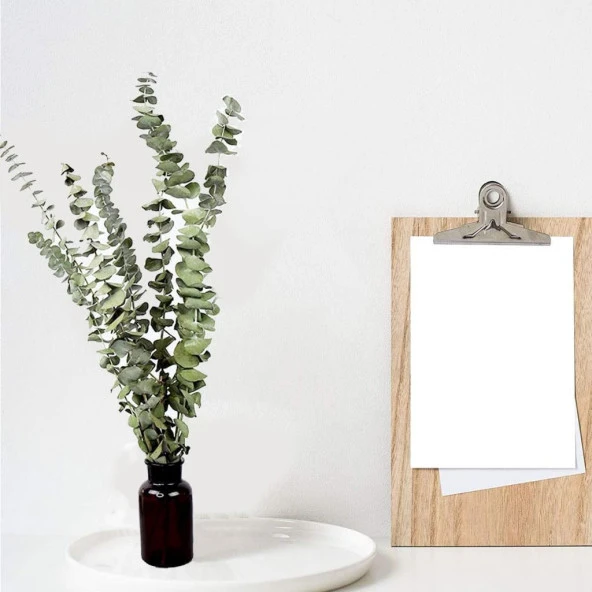 Nettenevime Şoklanmış Okaliptus Stabilize Kuru Çiçek Yeşil 50 Gram - 5