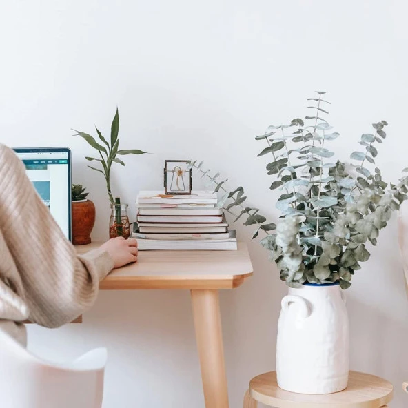 Nettenevime Şoklanmış Okaliptus Stabilize Kuru Çiçek Yeşil 50 Gram - 6