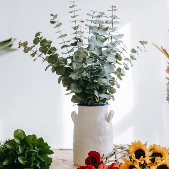 Nettenevime Şoklanmış Okaliptus Stabilize Kuru Çiçek Yeşil 50 Gram - 7