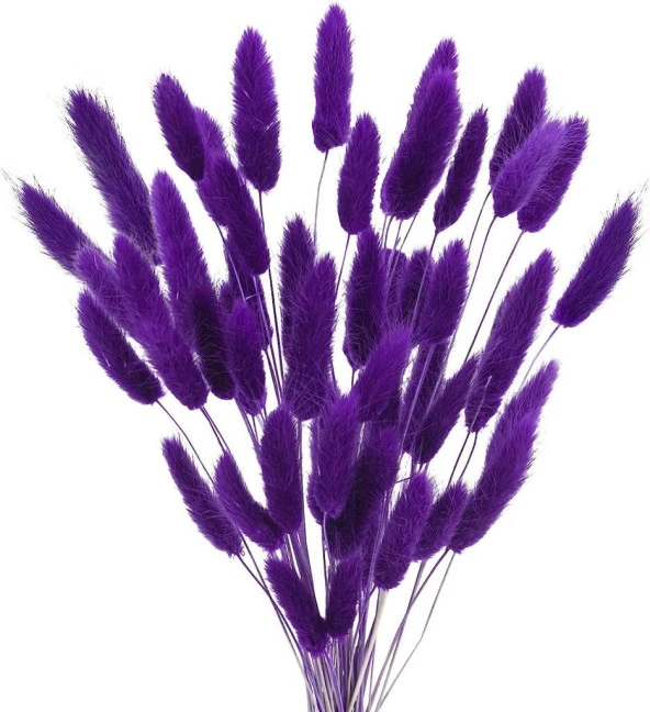 Nettenevime Kuru Çiçek Doğal KOYU MOR Pamuk Otu 10gram 1. Kalite Şoklanmış Bozulmaz