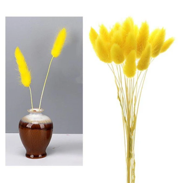 Nettenevime Kuru Çiçek Doğal SARI Pamuk Otu 10gram 1. Kalite Şoklanmış Bozulmaz - 2