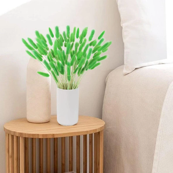 Nettenevime Kuru Çiçek Doğal ÇİMEN YEŞİL Pamuk Otu 10gram 1. Kalite Şoklanmış Bozulmaz - Resim 6