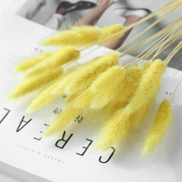 Nettenevime Kuru Çiçek Doğal SARI Pamuk Otu 10gram 1. Kalite Şoklanmış Bozulmaz - 5