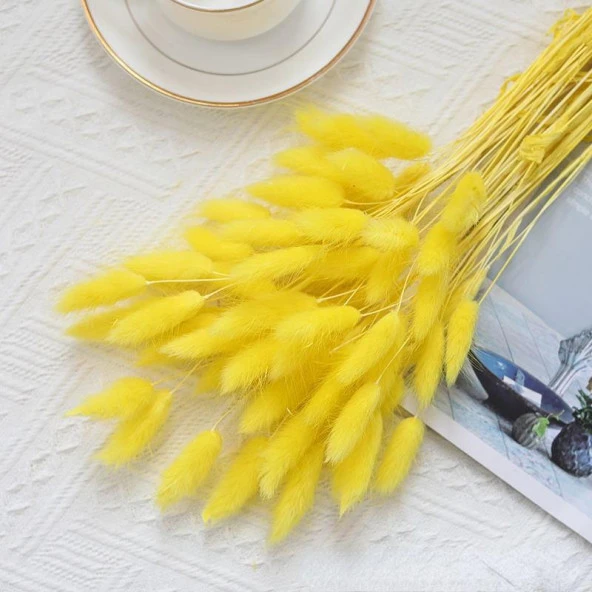 Nettenevime Kuru Çiçek Doğal SARI Pamuk Otu 10gram 1. Kalite Şoklanmış Bozulmaz - 6