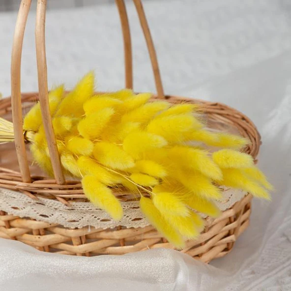 Nettenevime Kuru Çiçek Doğal SARI Pamuk Otu 10gram 1. Kalite Şoklanmış Bozulmaz - 7