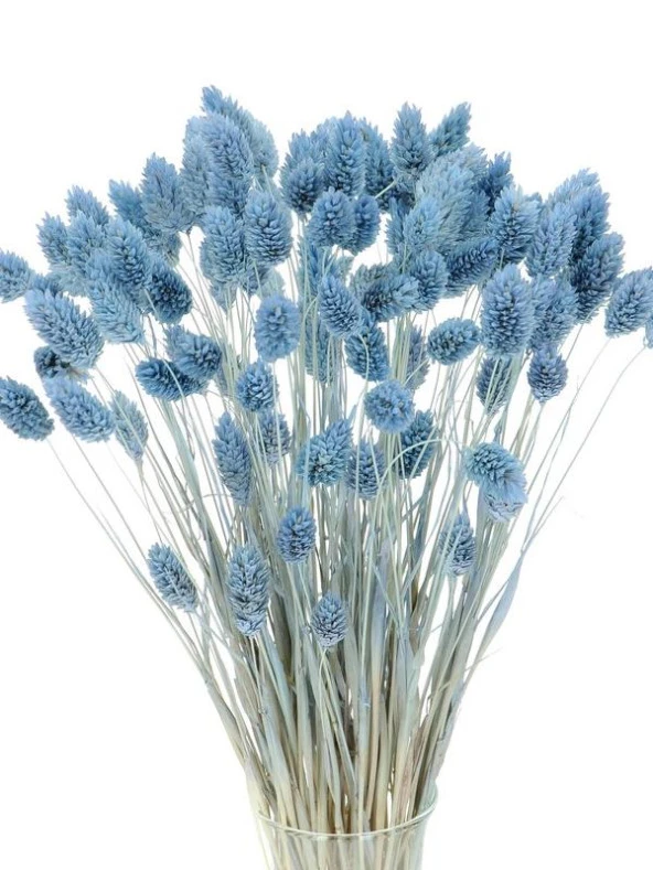 Nettenevime Kuru Çiçek Doğal Kuş Otu Mavi Açık Renk 40-50gram 1. Kalite Şoklanmış Bozulmaz