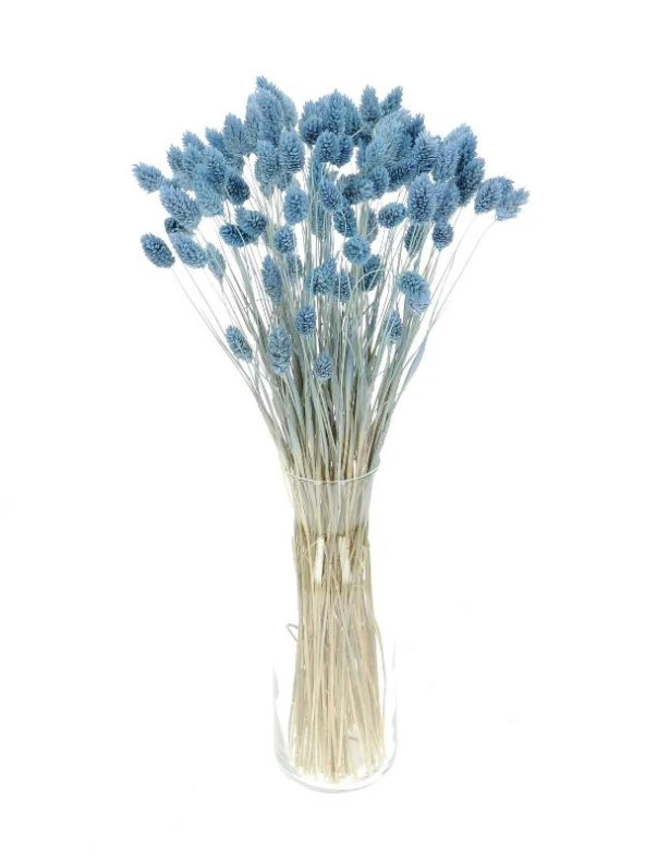 Nettenevime Kuru Çiçek Doğal Kuş Otu Mavi Açık Renk 40-50gram 1. Kalite Şoklanmış Bozulmaz - 3