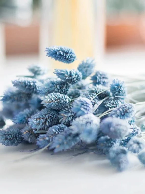 Nettenevime Kuru Çiçek Doğal Kuş Otu Mavi Açık Renk 40-50gram 1. Kalite Şoklanmış Bozulmaz - 4