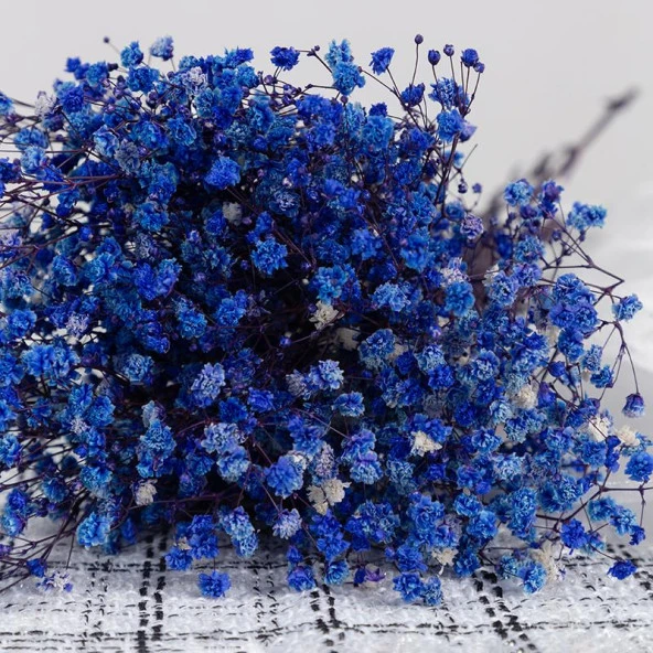 Nettenevime Kuru Çiçek Doğal MOR Cipso 50gram 1. Kalite Şoklanmış Bozulmaz - Resim 3